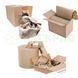 Пакувальний бокс 390 мм &times; 156м, 100г/м, 6,8 кг 4шт Paper Box - PackPro b9012001326 фото 2