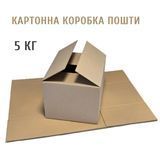 Коробка для пошти 40х24х20 см бурий 5кг Т22 Гофроящик 00004-202 фото